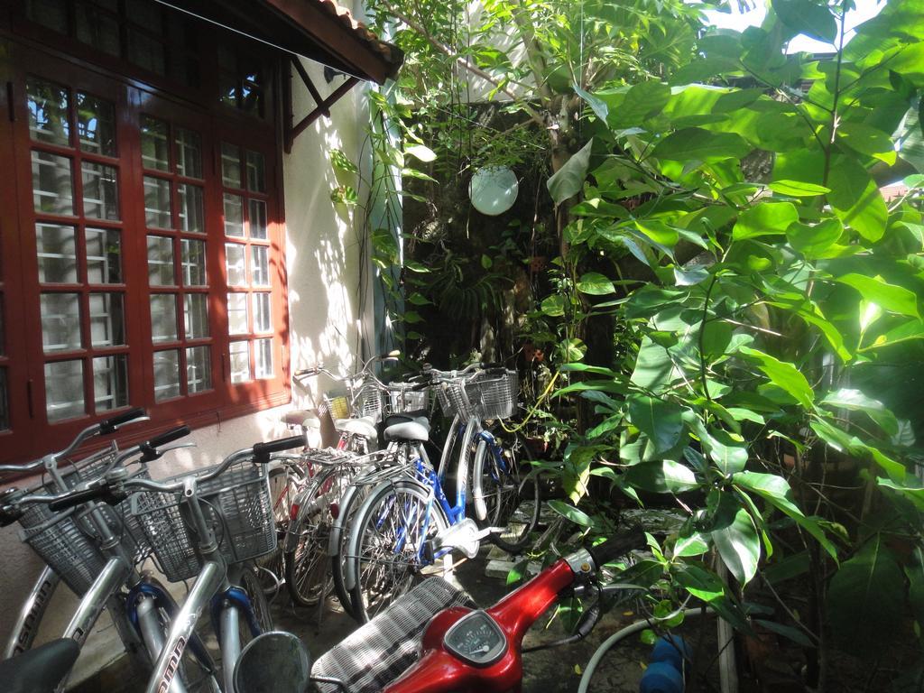 Homestay Countryside Хойан Экстерьер фото